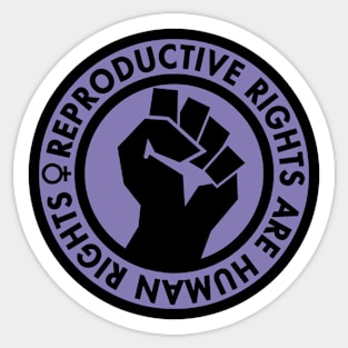 Reproductive Rights are Human Rights (lavender) Sticker